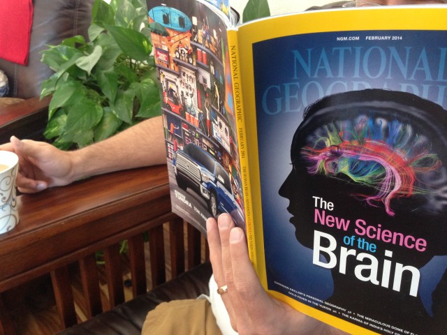 brain training in National Geographic